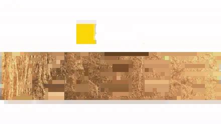 野性王后 2024 216P全7集中字.